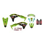 Blackbird Racing Replica Team Kawasaki 2020 Graphics Kit