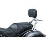 Multi-Purpose Backrest Mount