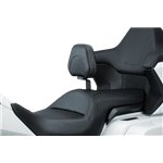 Omni Driver Backrest