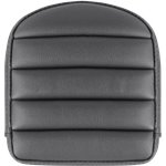 Sissy Bar Pad for Roadsofa� Step-Up Seat