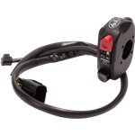 Handlebar Stop/Start Switch