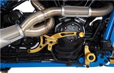 Big Sexy 2:1 Exhaust Systems