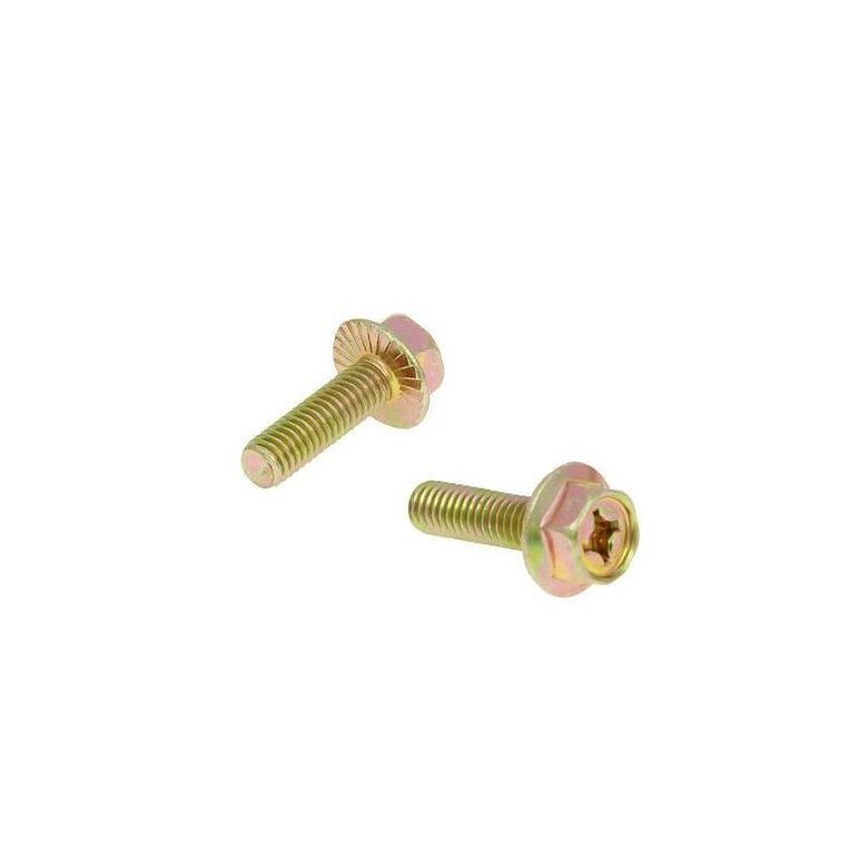 Exhaust Screws