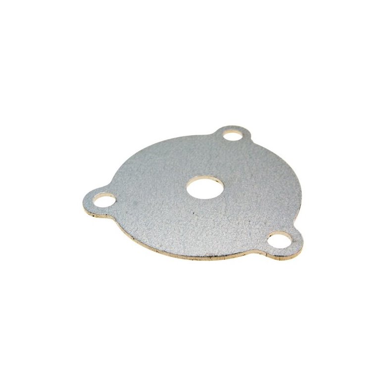 Exhaust Restrictor Plate