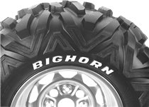 BIGHO M918 26X10R12 67N E