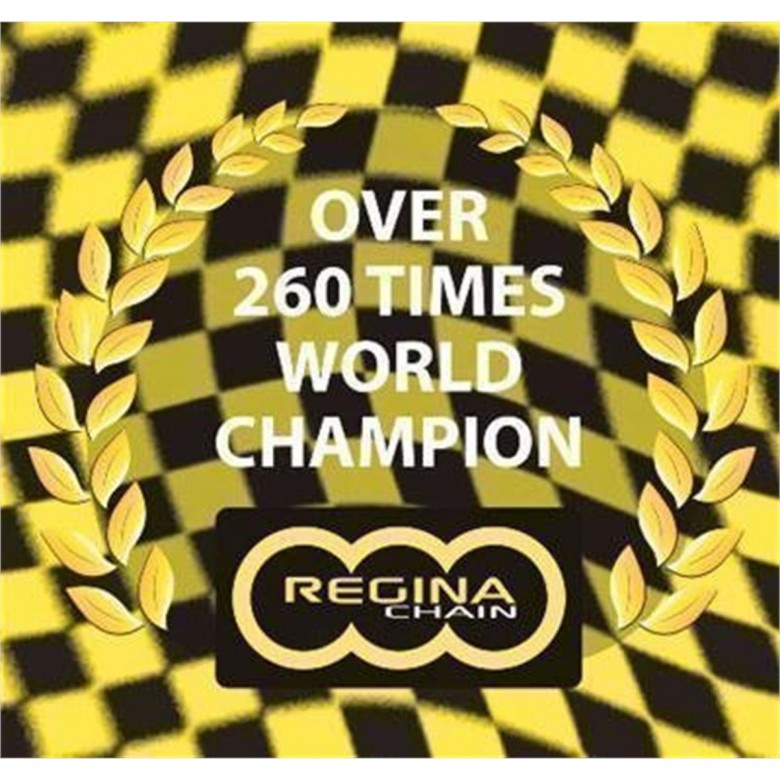 Regina Trial Kette 135, 520er Teilung