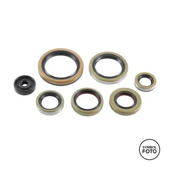 Set simeringuri motor VERTEX GasGas, Husqvarna, KTM